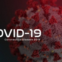 В Донском регионе резкий скачок заражений коронавирусом